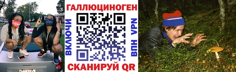 где продают Малмыж mega онион Галлюциногенные грибы MAGIC MUSHROOMS