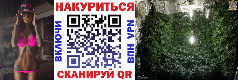 Шишки марихуана THC 21%  Малмыж 